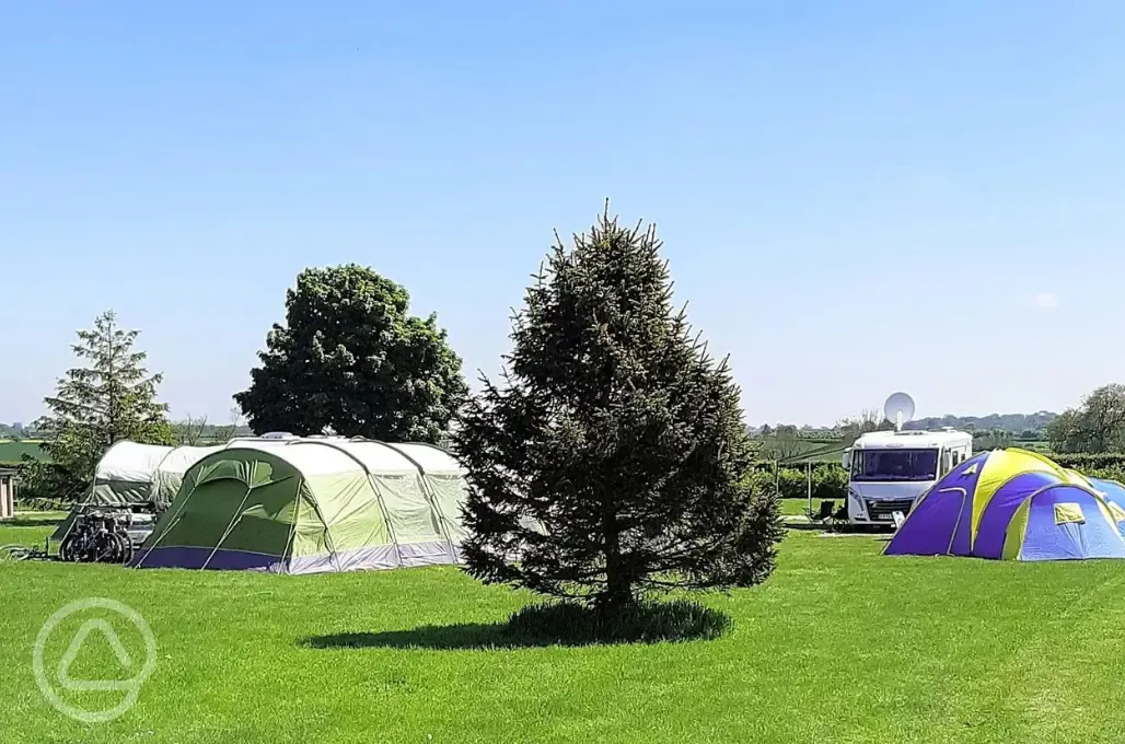 Electric grass tent pitches