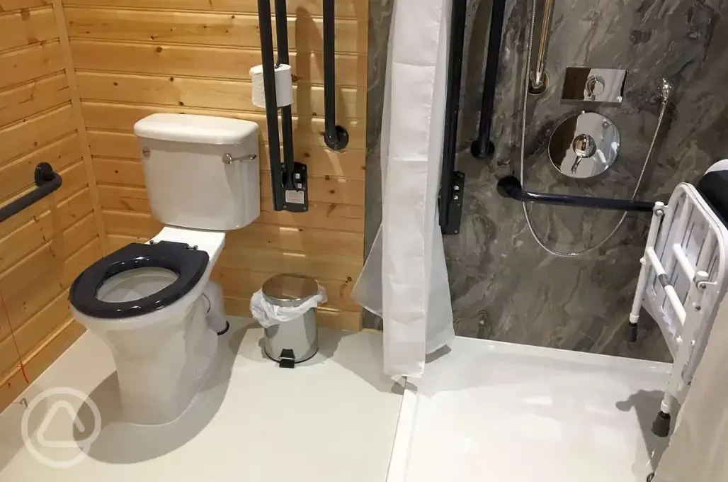 Accessible ensuite bathroom with seating, grab rails and a shower