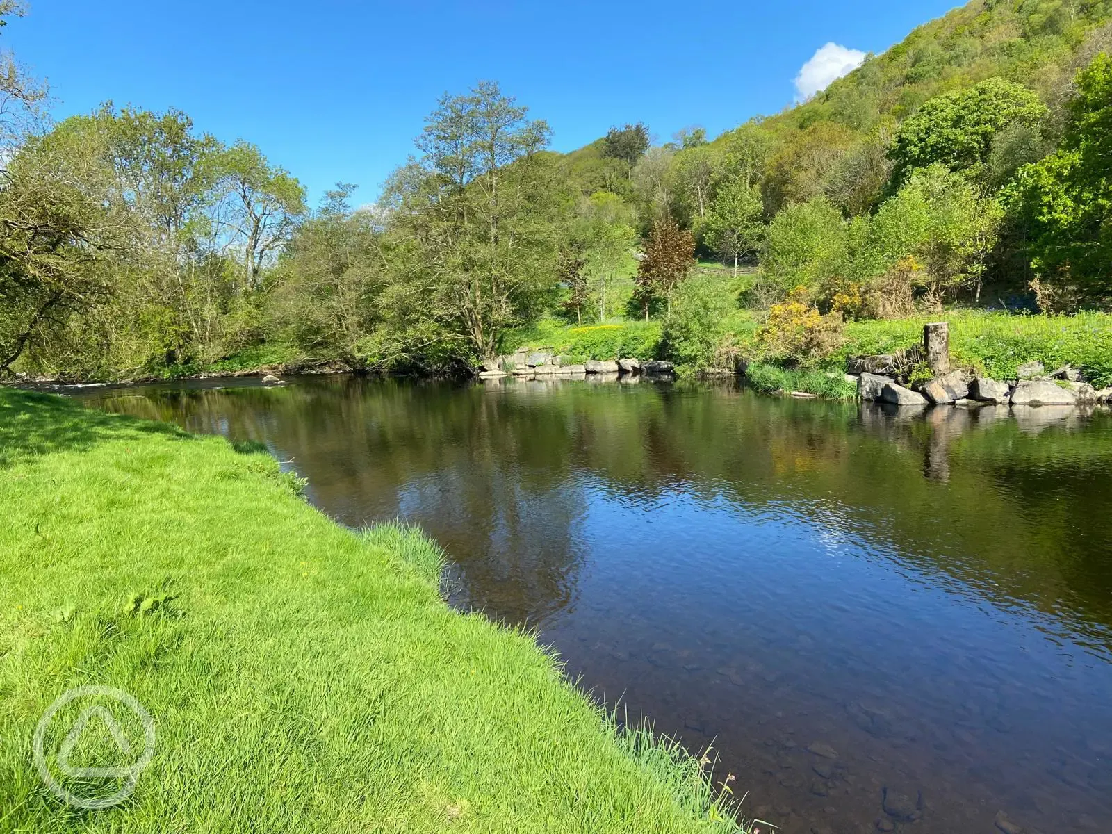 Afon Teifi