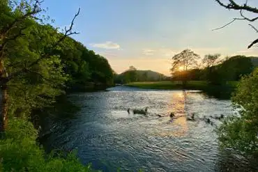 Afon Teifi