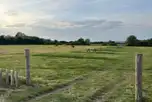 Back field for camping