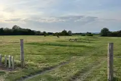 Back field for camping