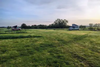 Daisy Farm