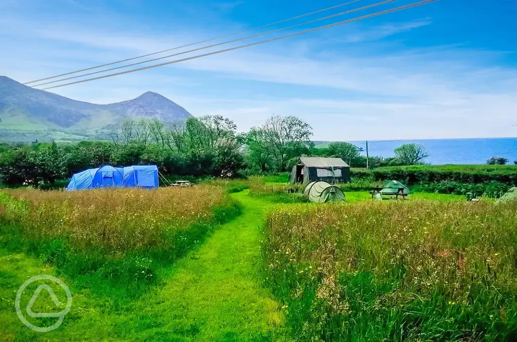 Sea view non electric grass tent pitches