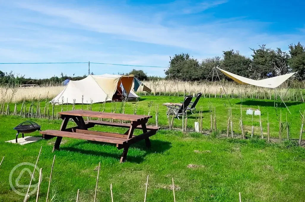 Sea view non electric grass tent pitches