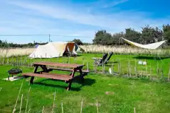 Sea view non electric grass tent pitches