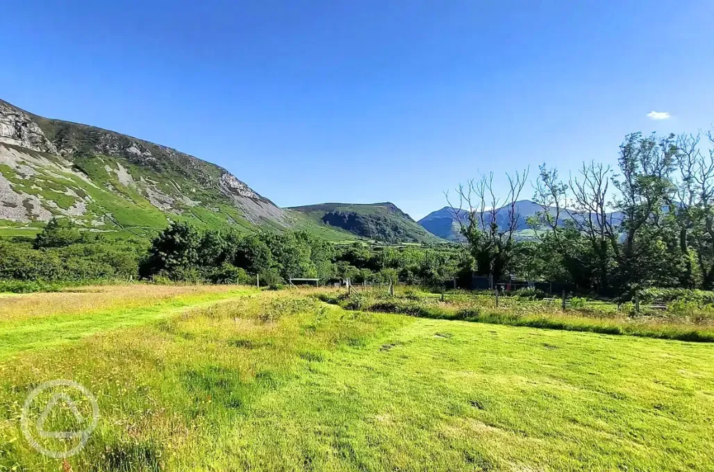 Non electric grass tent pitches