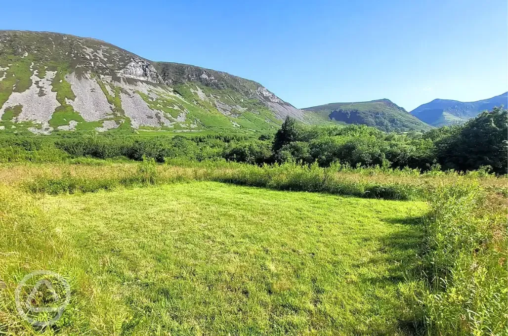 Non electric grass tent pitches