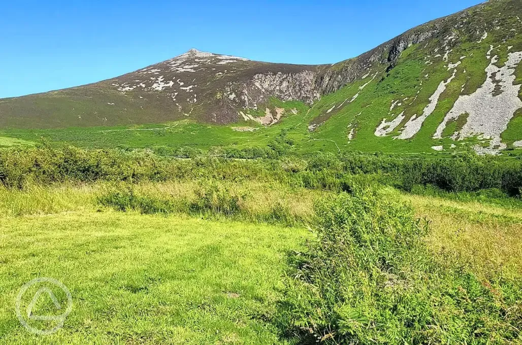 Non electric grass tent pitches