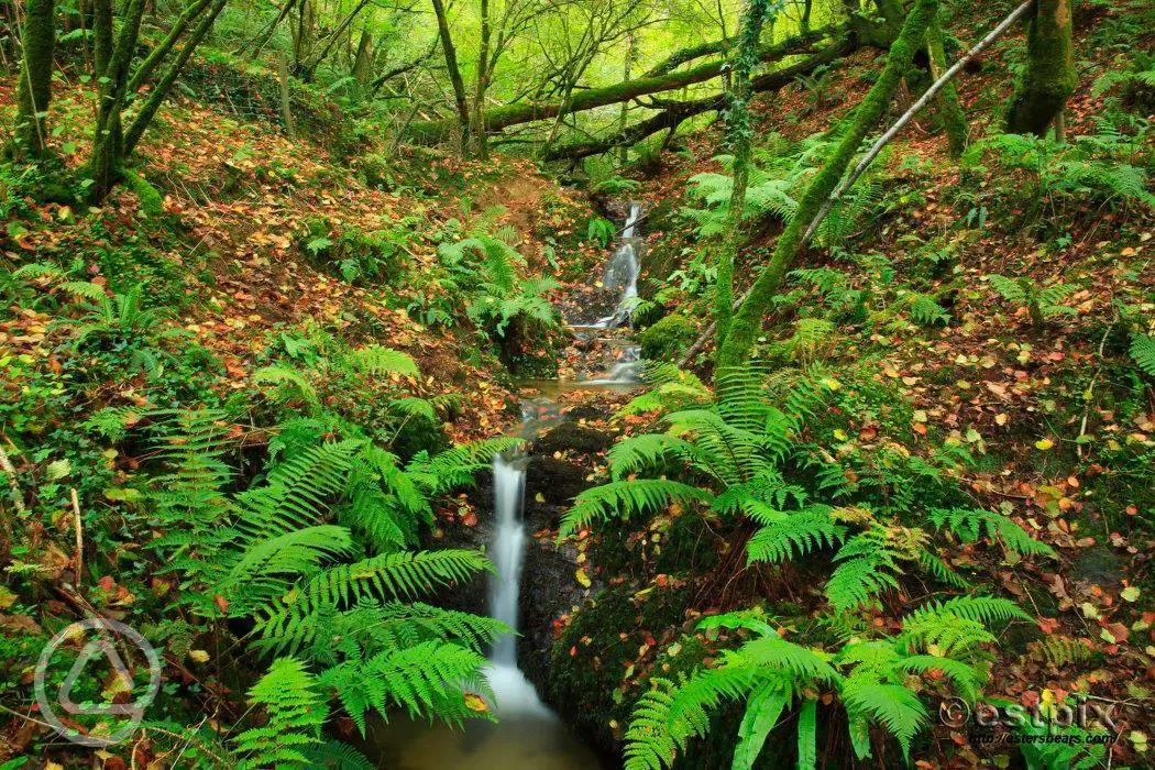 Streamside walk and mini waterfalls