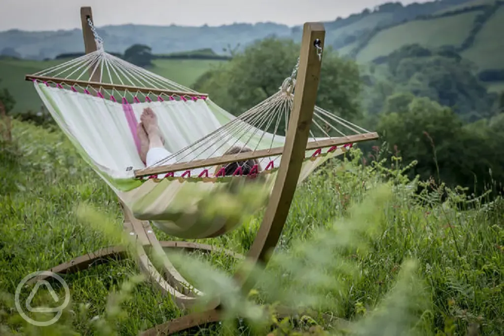 Hammock