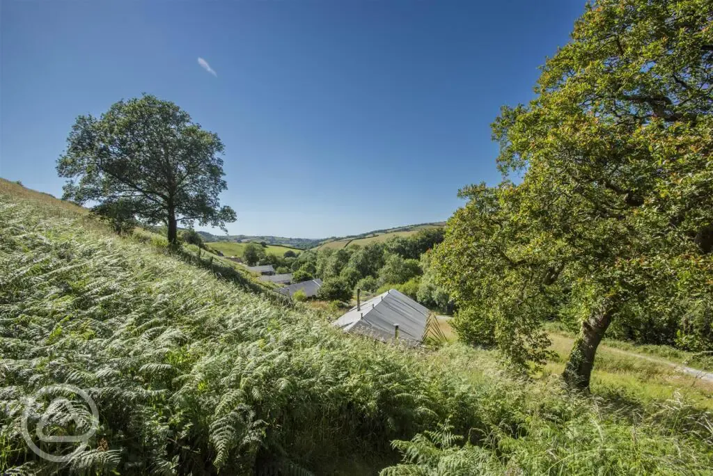 Safari tents and views