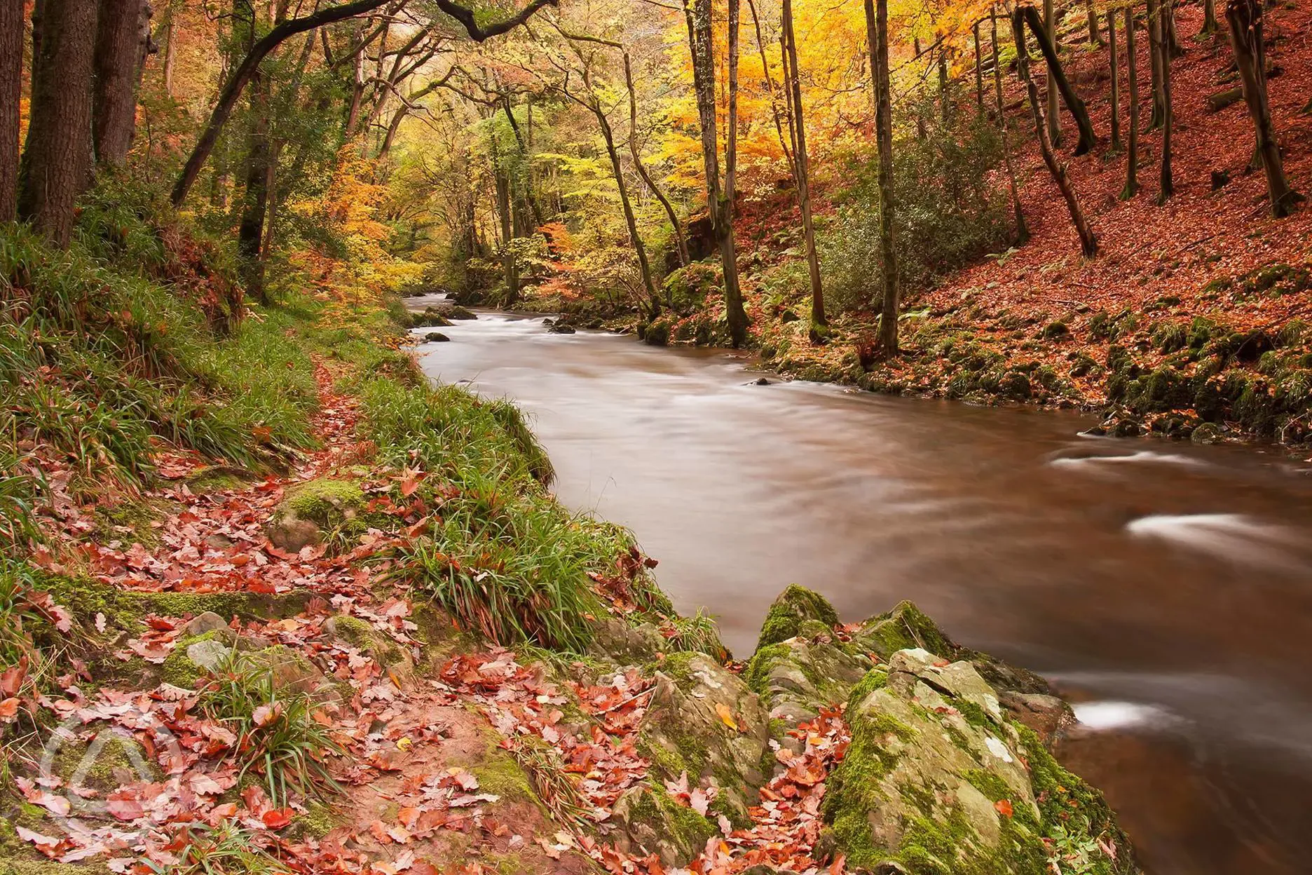 Nearby river countryside walk