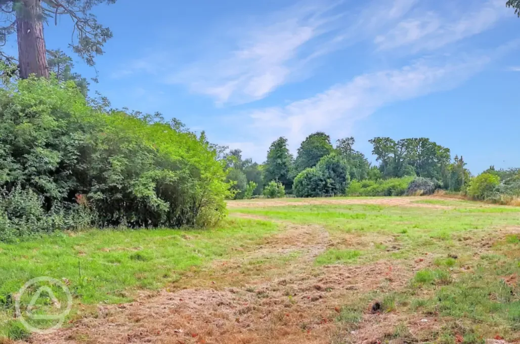 Non electric grass and earth pitches