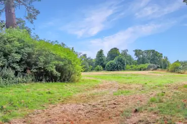 Non electric grass and earth pitches