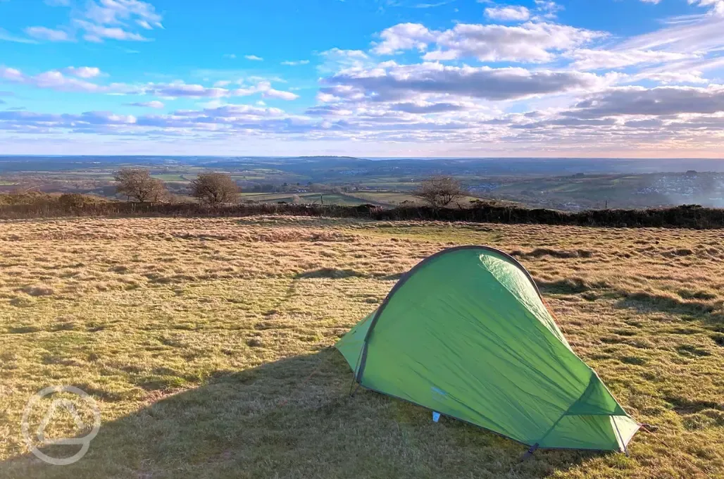 Grass pitches 