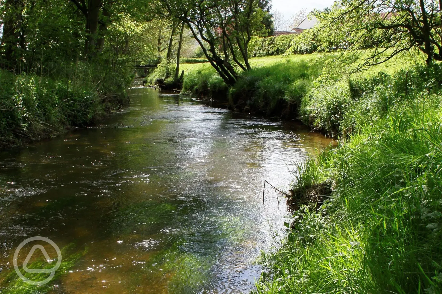 Fishing lake on site 