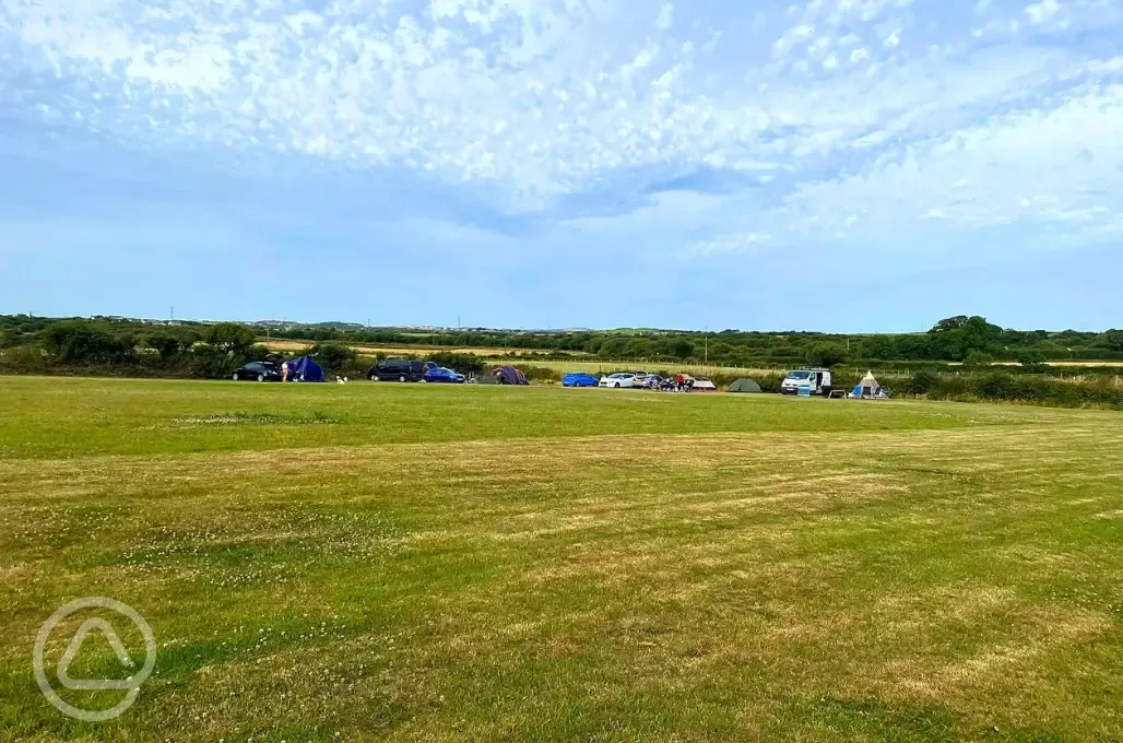 Non electric grass pitches 