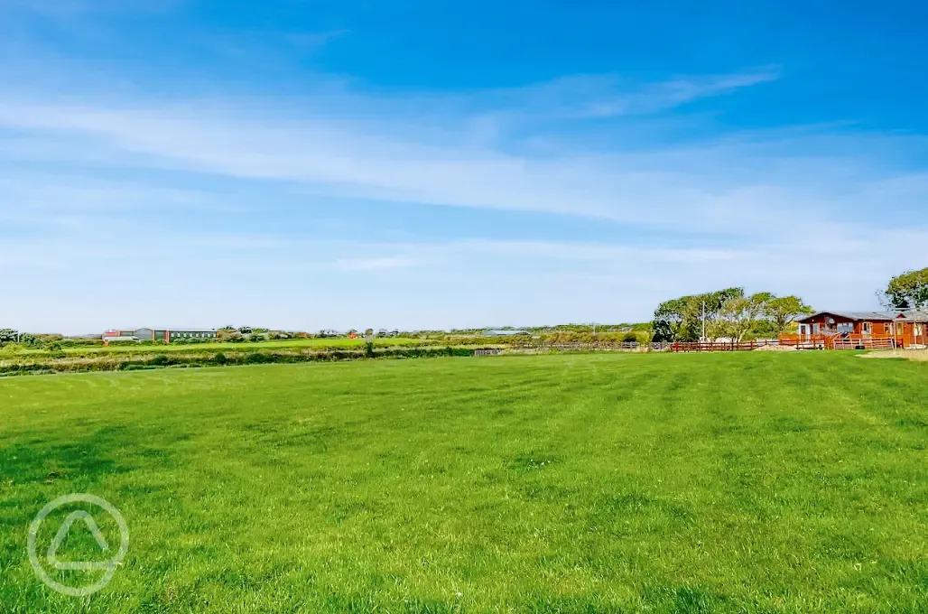 Non electric grass pitches 