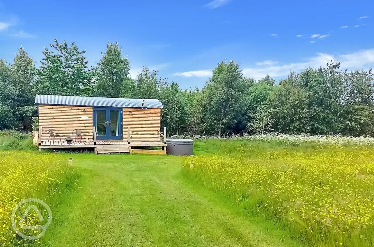 Shepherd's hut and optional hot tub