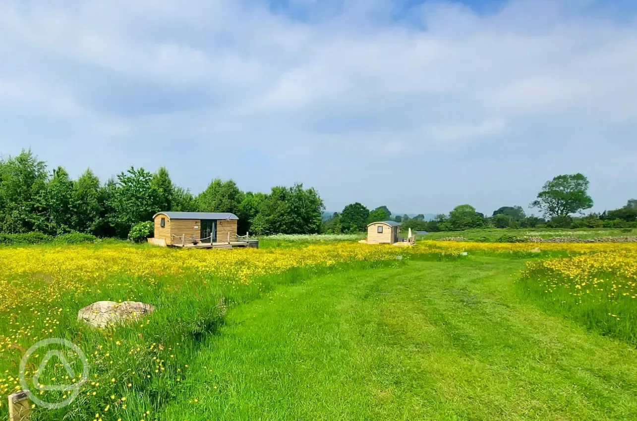 Shepherd's huts