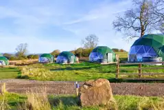 Glamping domes