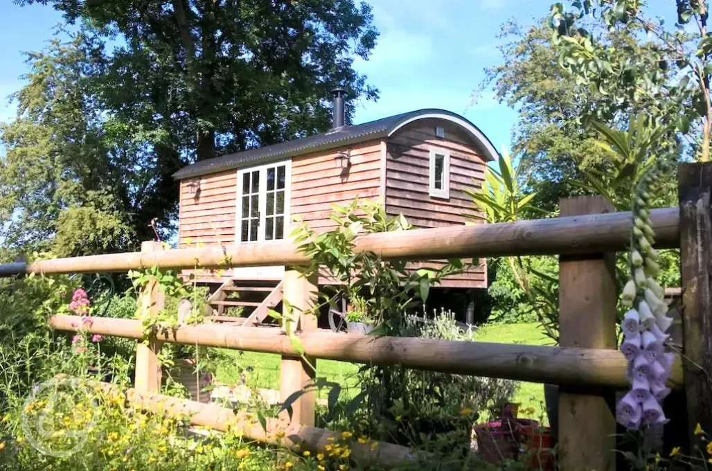 Shepherd's hut