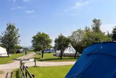 Electric and non electric grass pitches Electric and non electric grass pitches