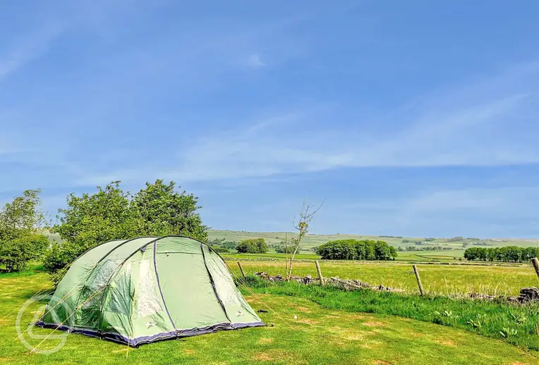 Non electric grass pitches at The Bull i' th' Thorn