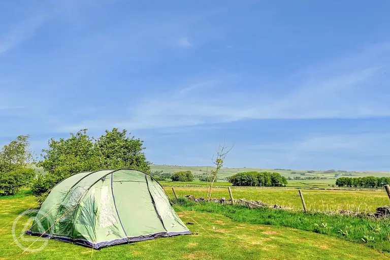 Non electric grass pitches at The Bull i' th' Thorn