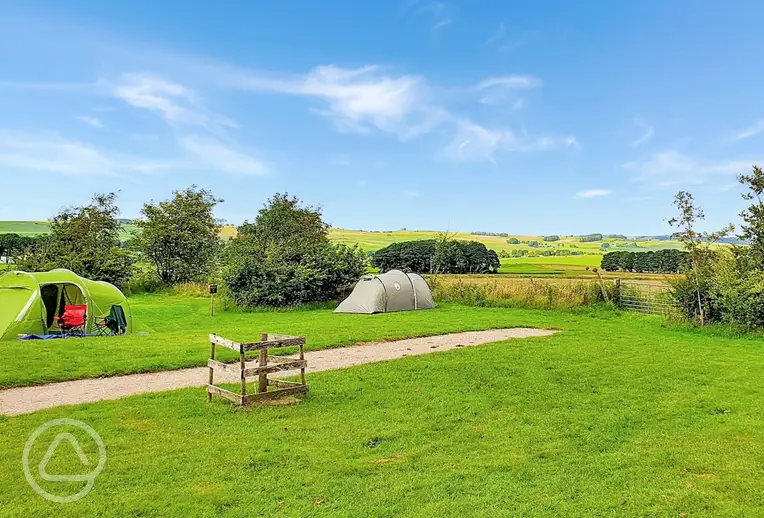 Electric and non electric grass pitches at The Bull i' th' Thorn
