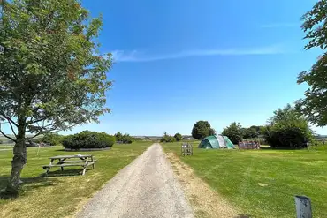 Electric and non electric grass pitches