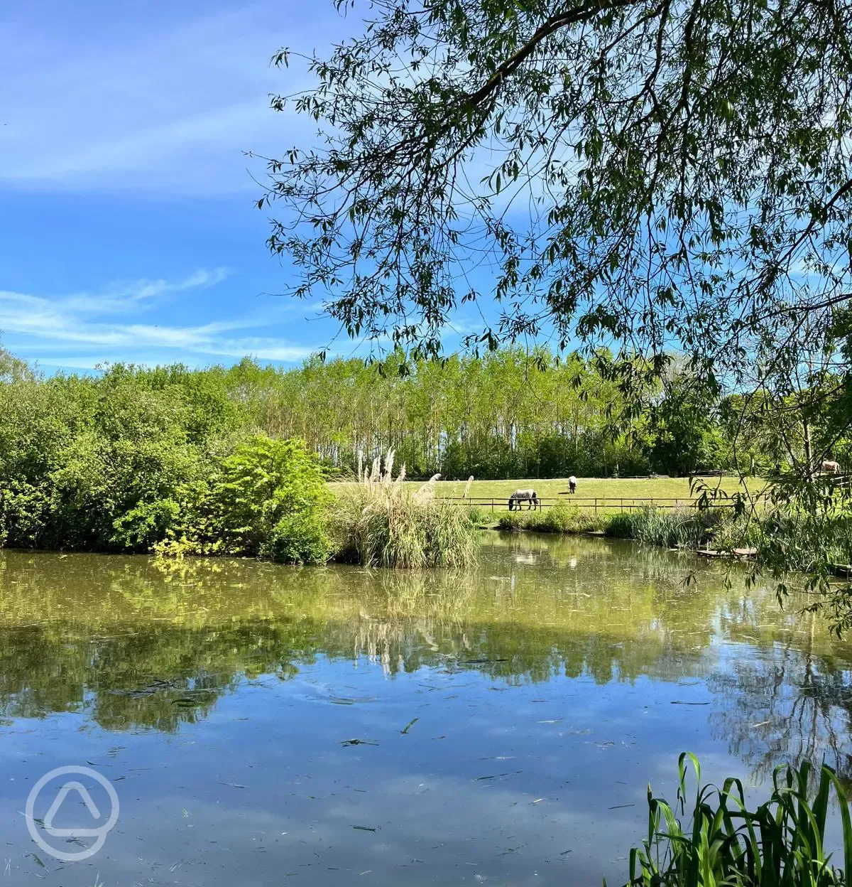 One of three fishing lakes, fishing is included with your stay