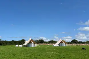 Little Wilderness, Wendron, Helston, Cornwall (12.4 miles)