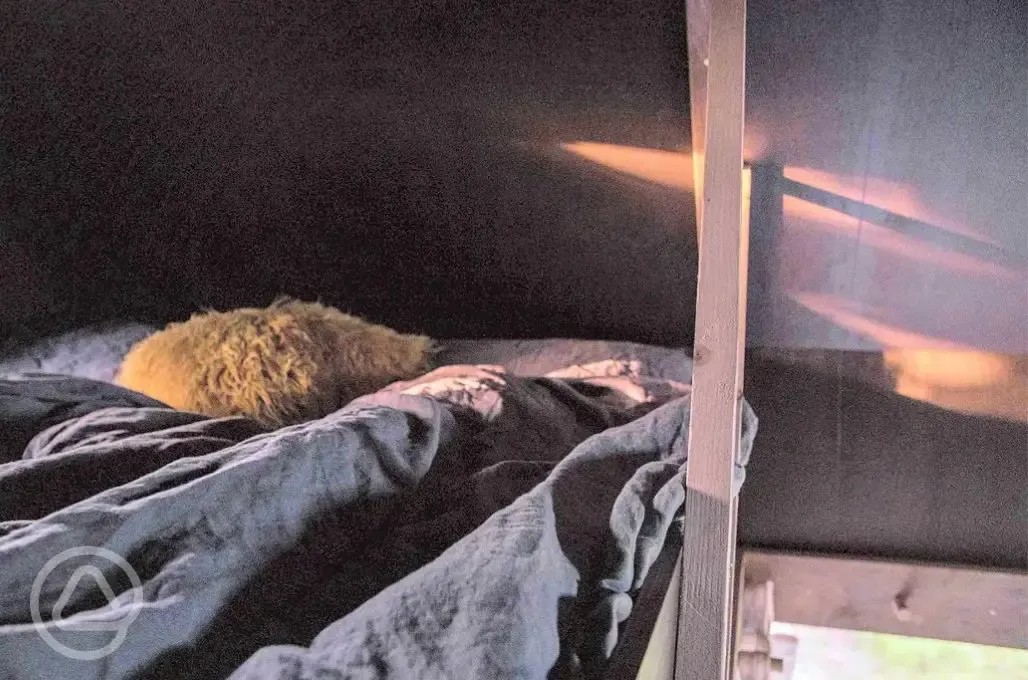 Ninho shepherd's hut mezzanine bed