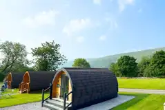 Gold glamping pods