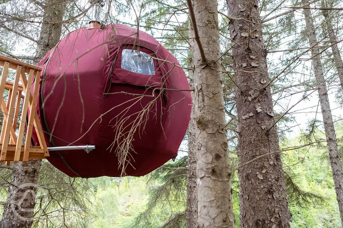 The Tree Tent