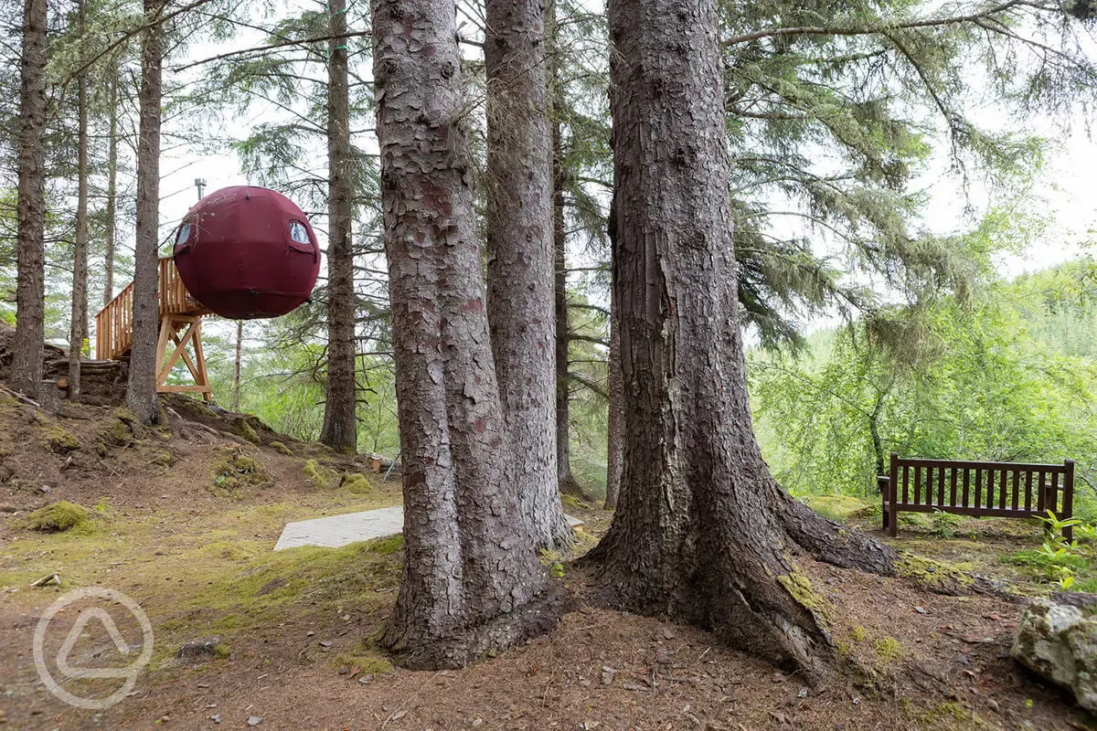 The Tree Tent