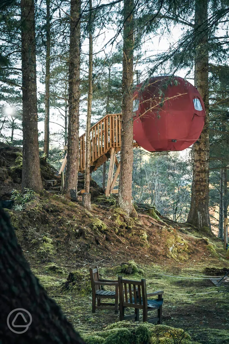 The Tree Tent