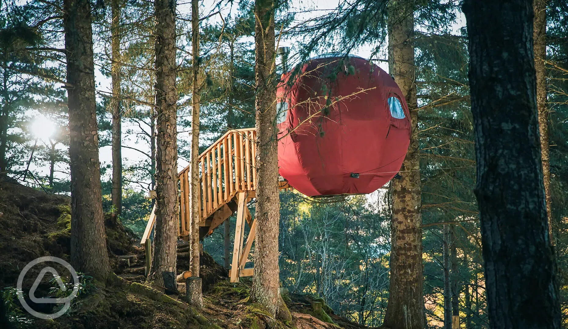 The Tree Tent