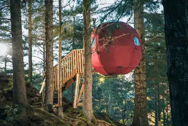 The Tree Tent at Highland Hangout