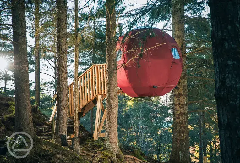 The Tree Tent at Highland Hangout