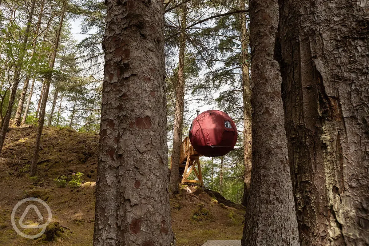 The Tree Tent