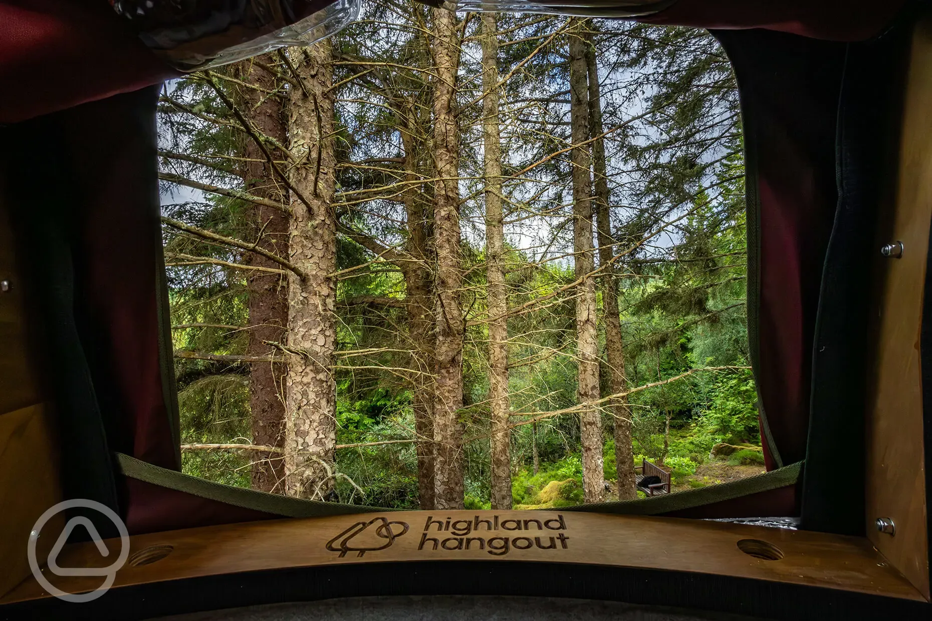 The Tree Tent window