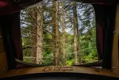 The Tree Tent window