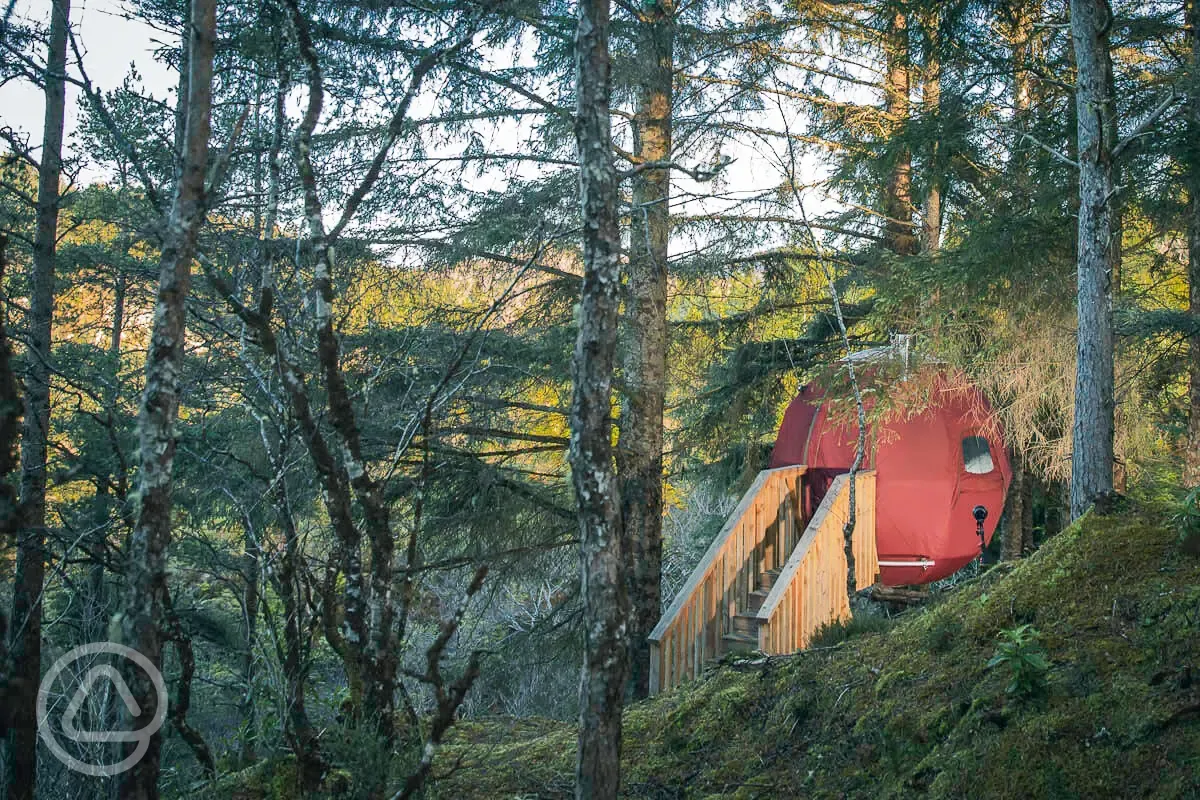 The Tree Tent