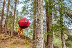 The Tree Tent