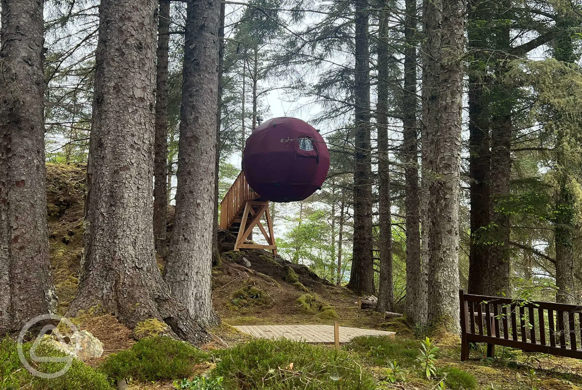 The Tree Tent