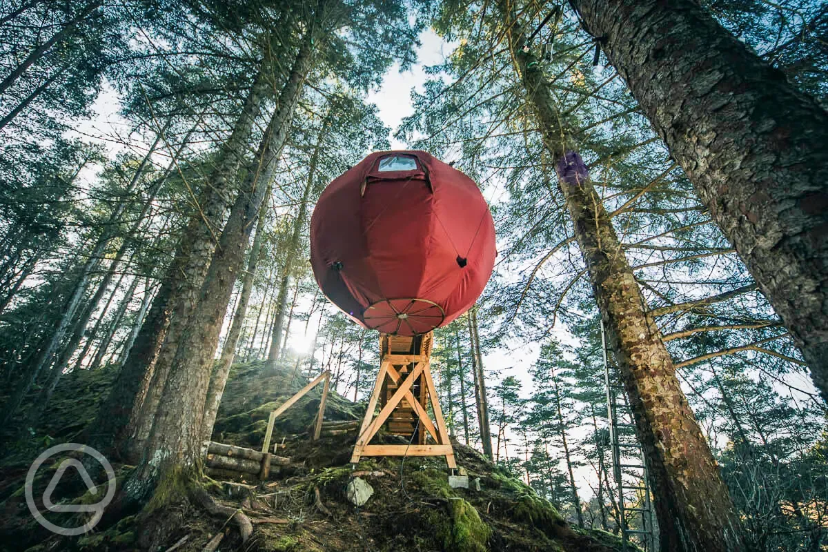 The Tree Tent