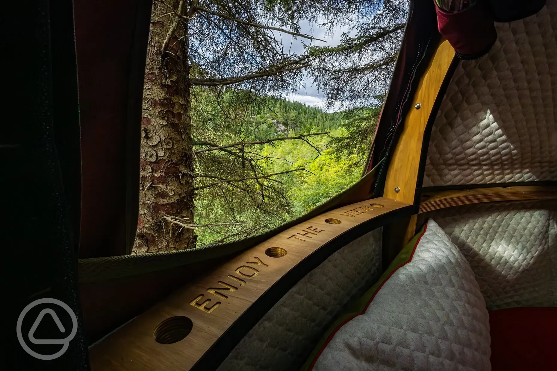 The Tree Tent window